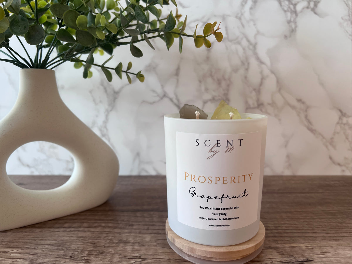 Prosperity - Grapefruit (Inspired by the luxury Trudon Salta Candle)